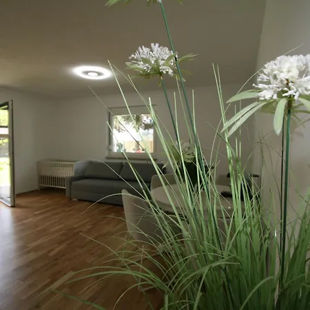 Diwani By Interhome Apartment