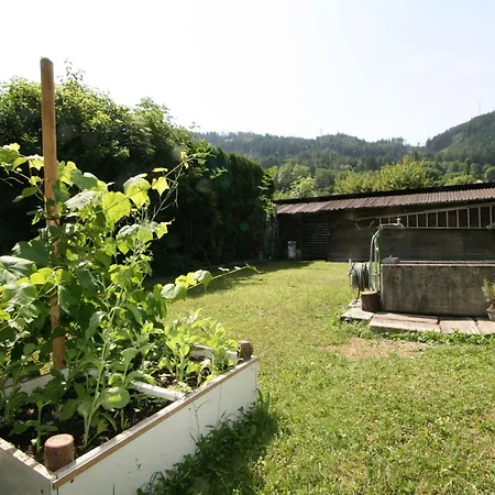 Daire Diwani By Interhome İnnsbruck