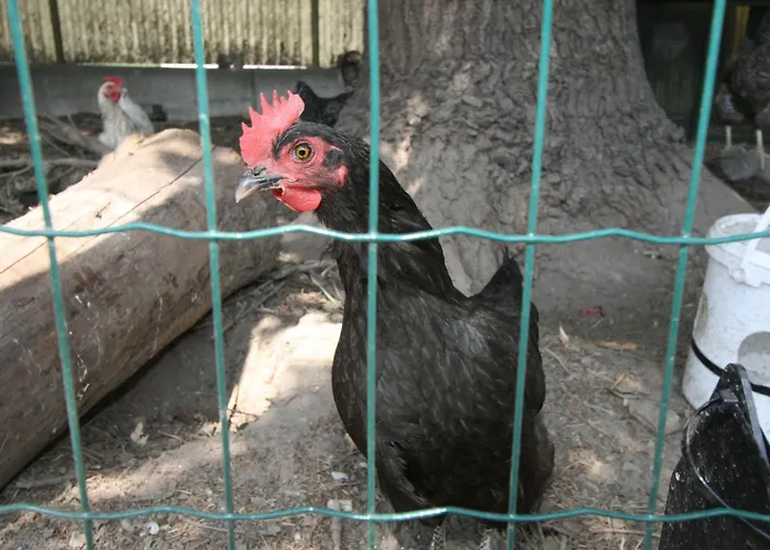 Apartman Diwani By Interhome