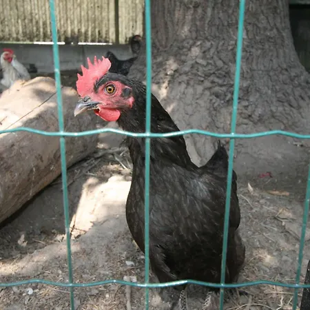 Appartement Diwani By Interhome